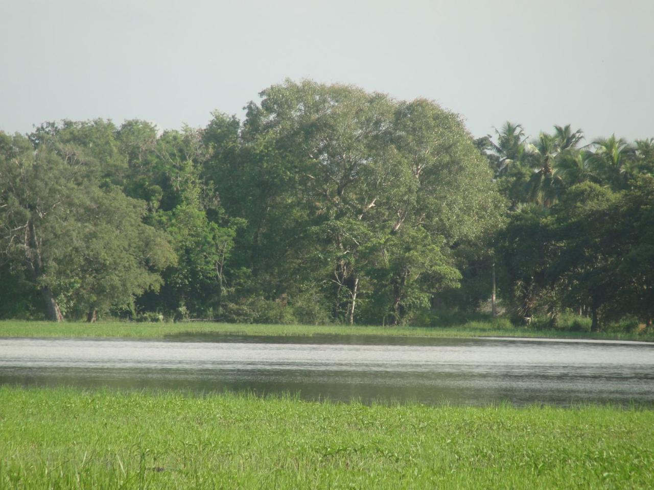 Kulama, The Lake Villa Wanniyankulama West) Extérieur photo