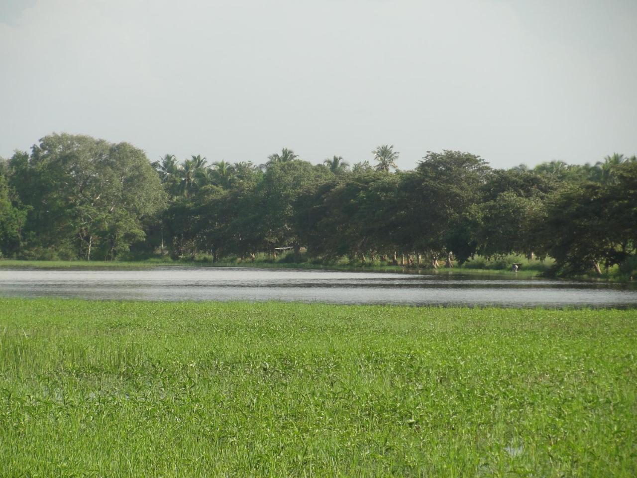 Kulama, The Lake Villa Wanniyankulama West) Extérieur photo